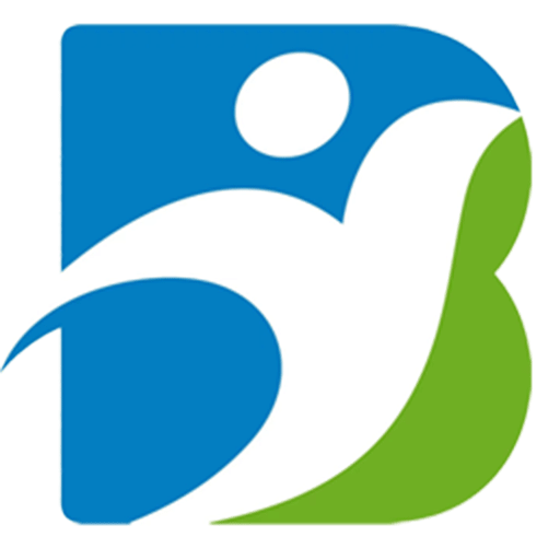 Boying Travel Service Logo